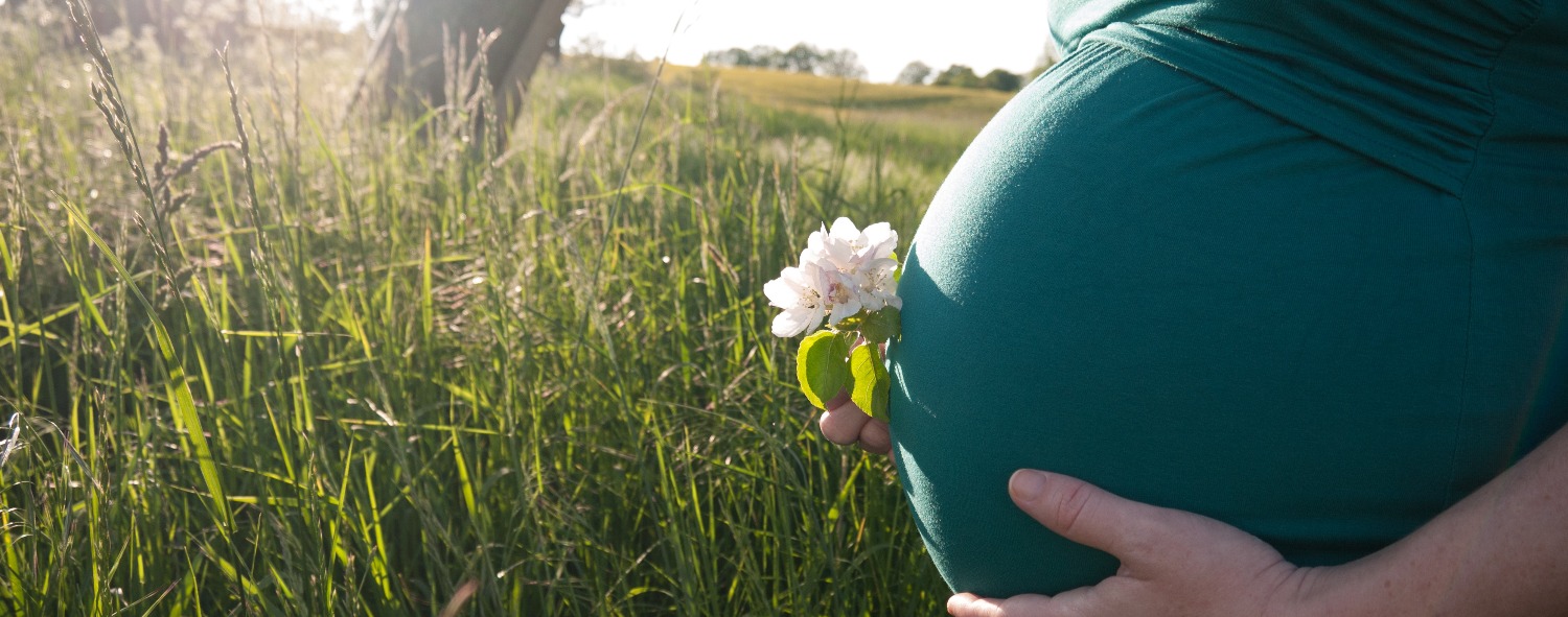 Babybauch mit Blume vor einem Baum